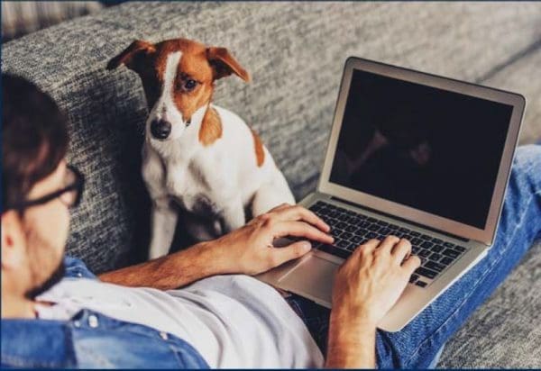 Working From Home: Laptop Ergonomics